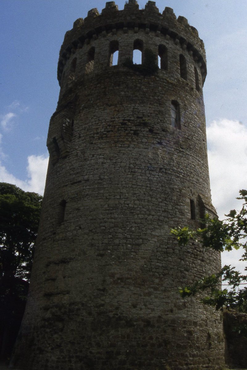 The cylindrical keep of Nenagh Castle in a 2003 photograph