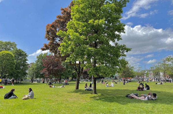 Eyre Square’s lawns and mature trees in May 2022