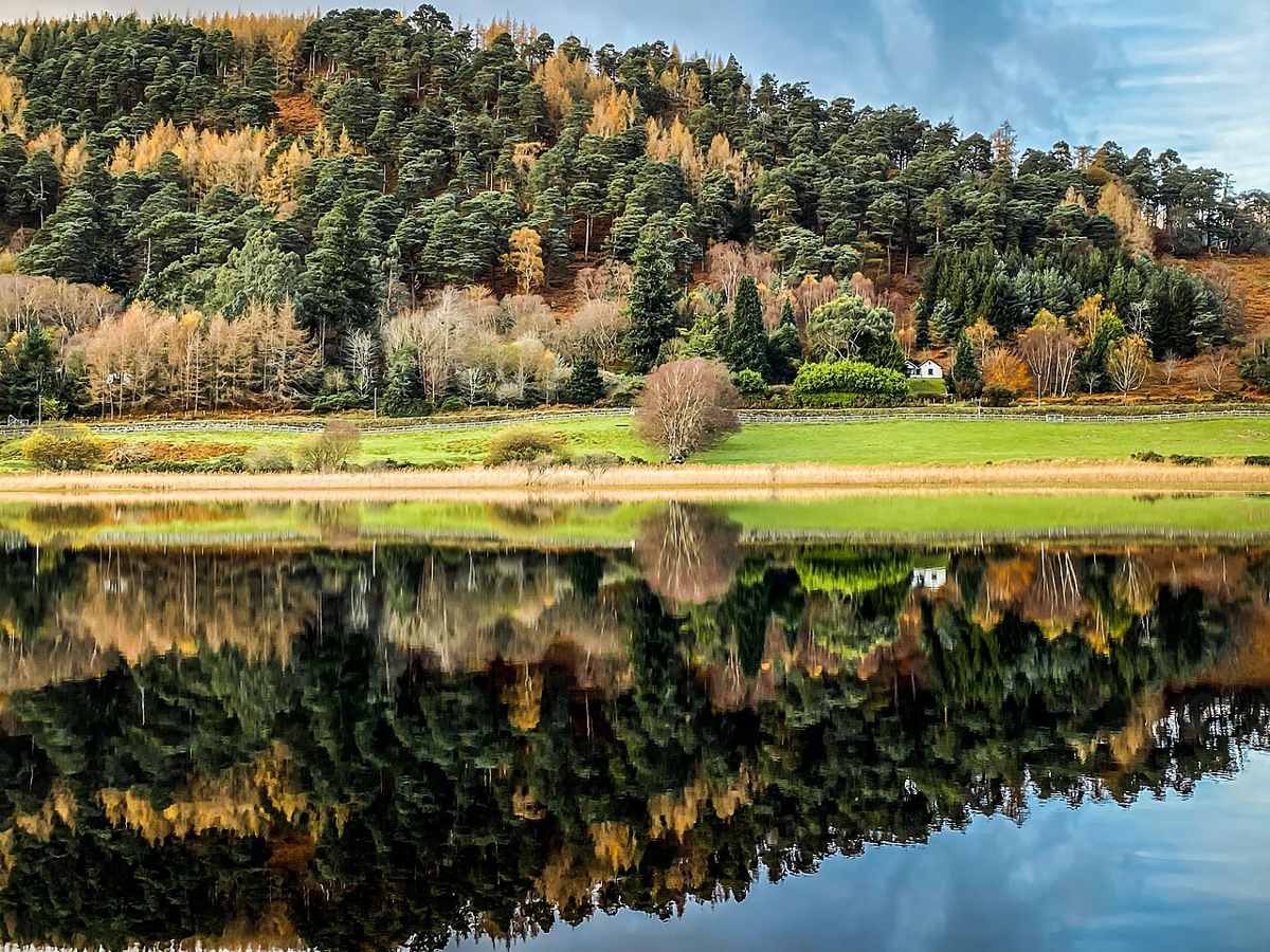 Glendalough Lower Lake with wooded slopes beyond