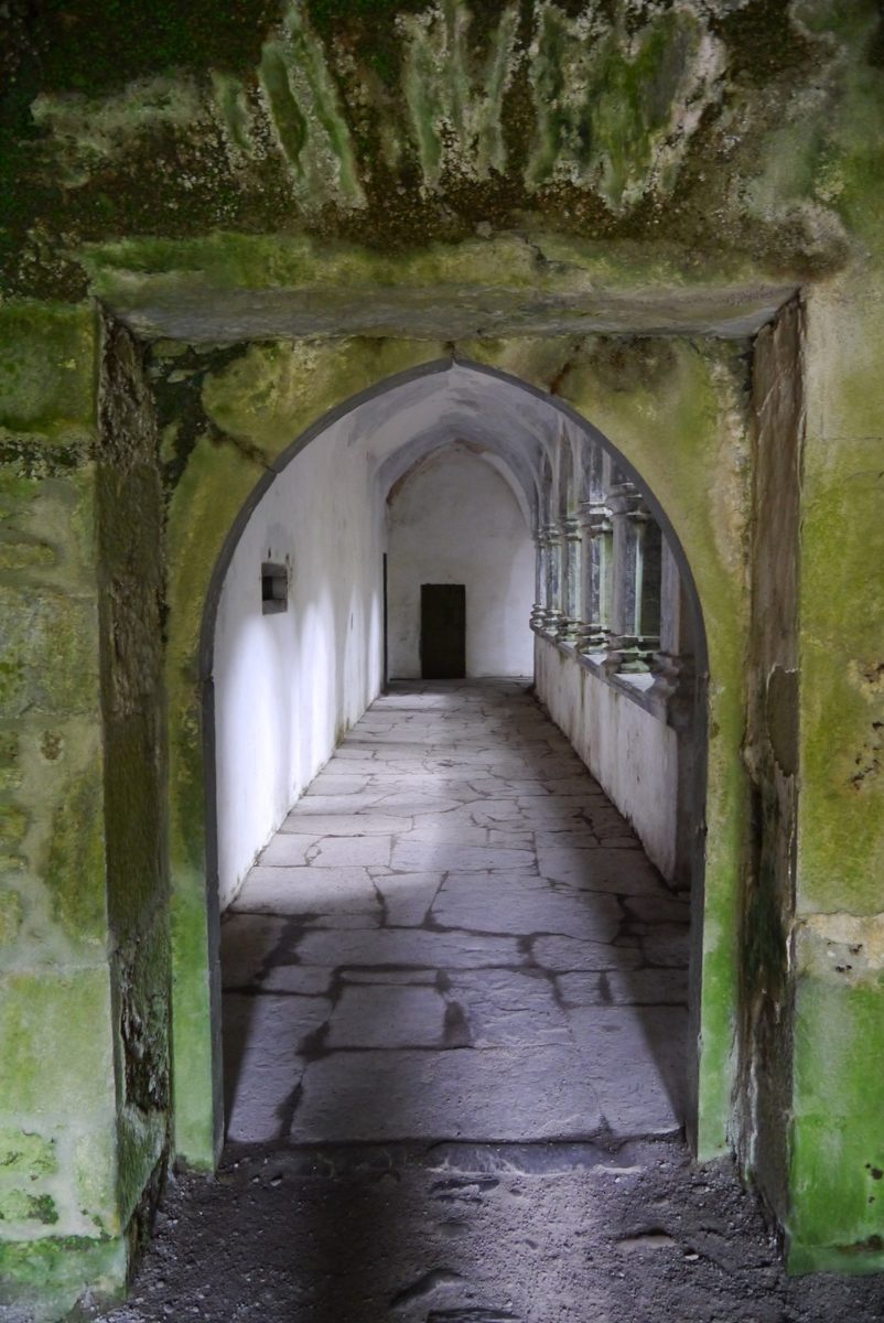 The north cloister corridor at Muckross Abbey