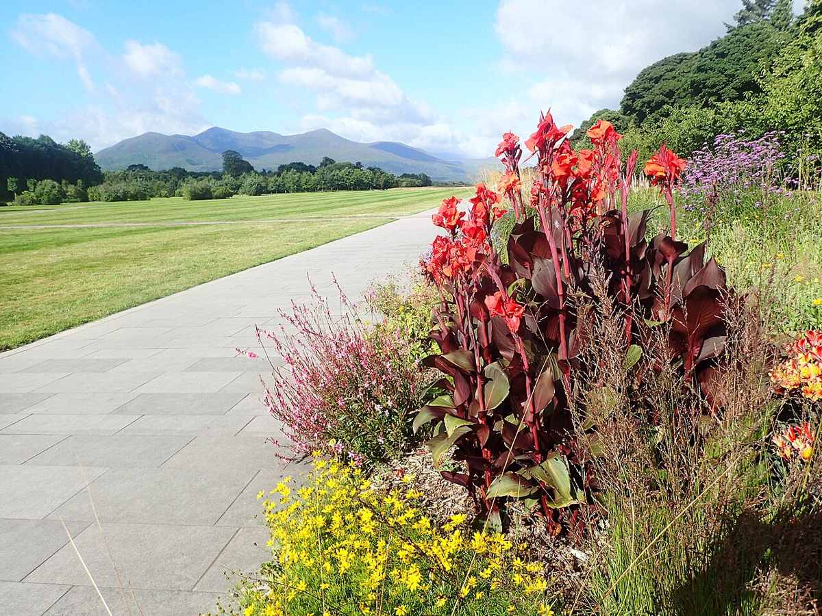 A broad garden path at Killarney House