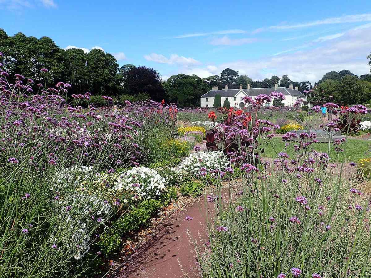 Flower beds with Killarney House beyond