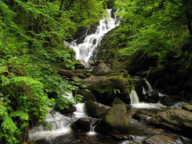 Torc Waterfall surrounded by woodland