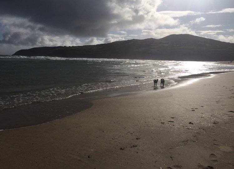 Barleycove Beach with sea and distant hills