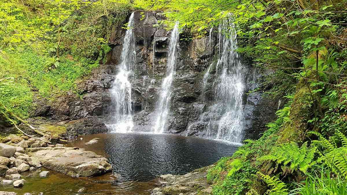 A waterfall cascading over a rock ledge in Glenariff Forest Park in 2019