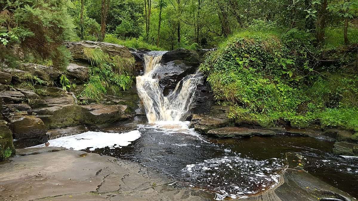 A closer view of the Clamp Hole waterfall and wooded riverbank at Glenbarrow in 2020