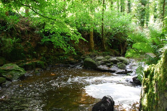 A stream beside a woodland walk in Gosford Forest Park in 2009