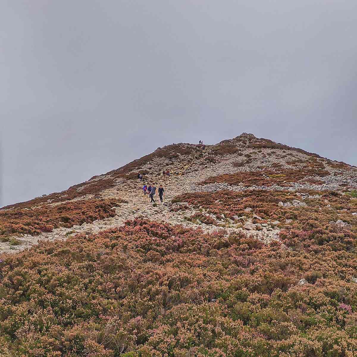 Rocky upper slopes on Great Sugar Loaf