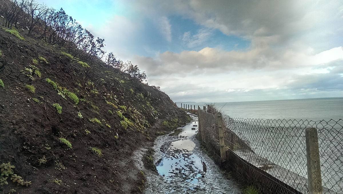 A historical cliff path with fencing beside the sea