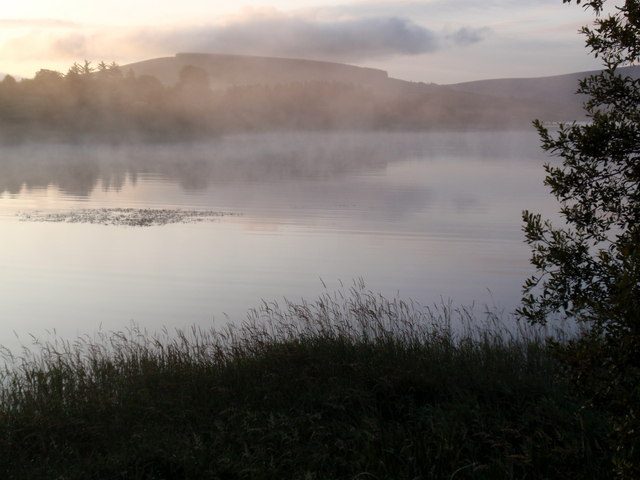 Mist above a shore of Blessington Lake