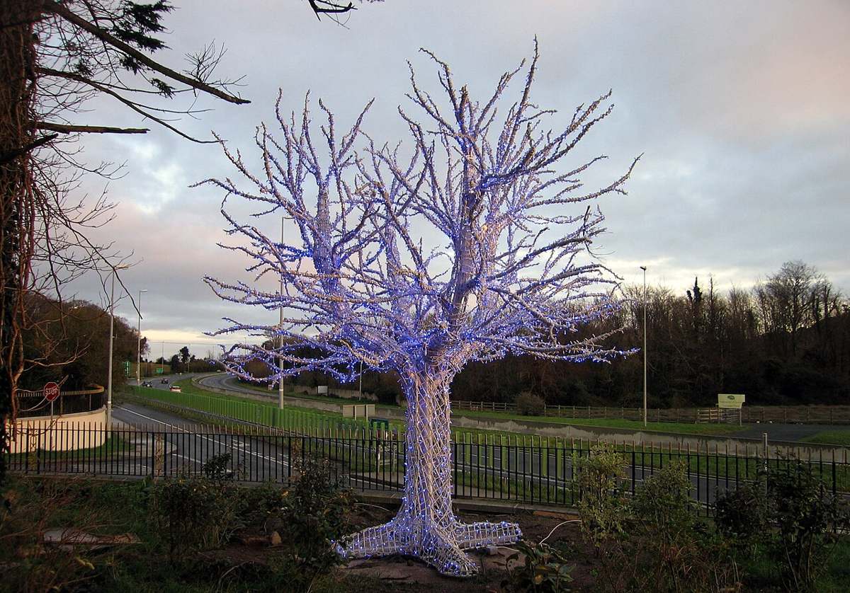 An illuminated Christmas tree on the Avoca Kilmacanogue site