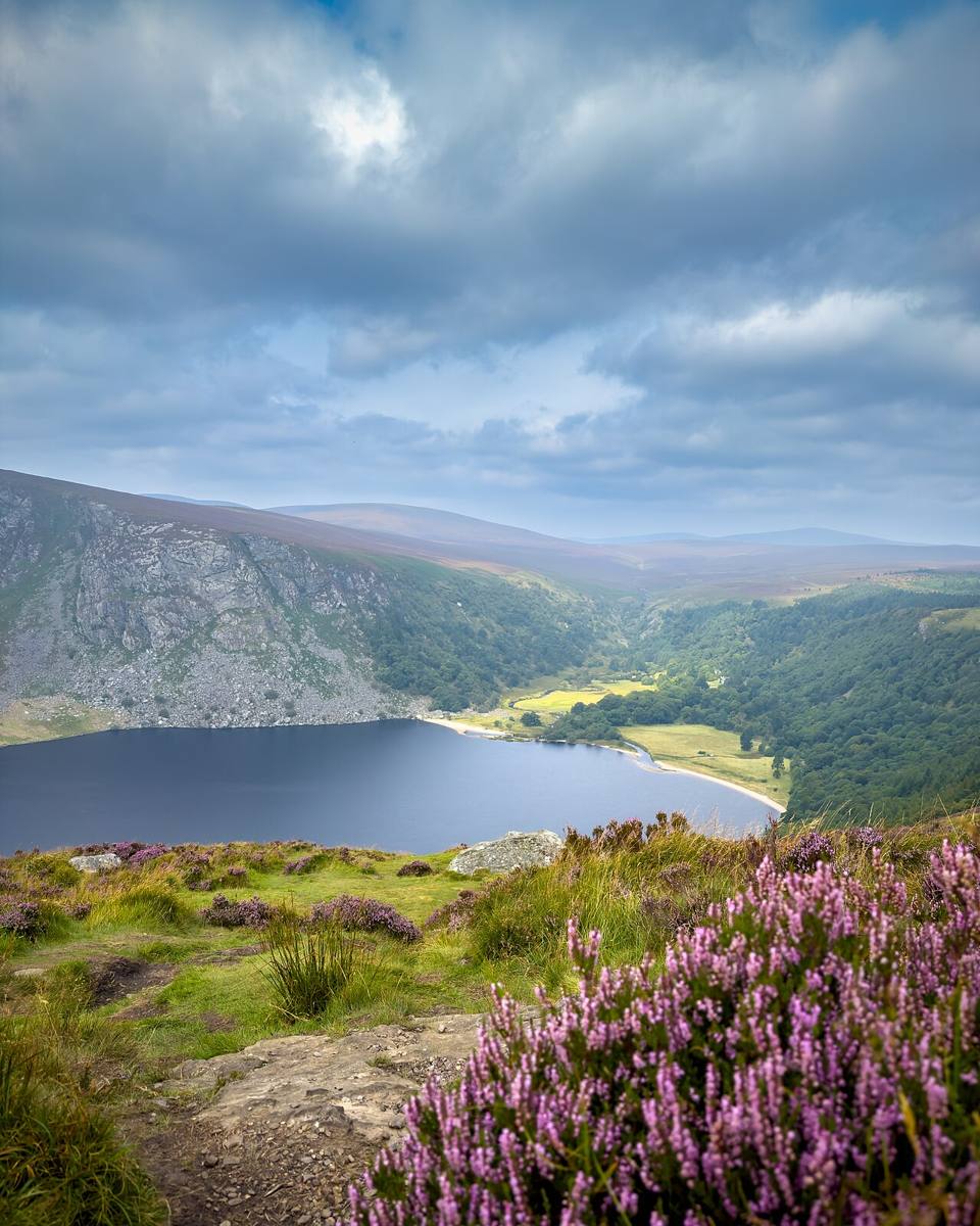 Lough Tay and the surrounding hills above flowering heather