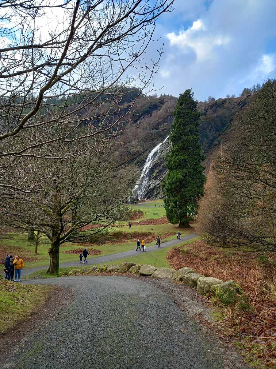 A wooded approach with Powerscourt Waterfall in the distance