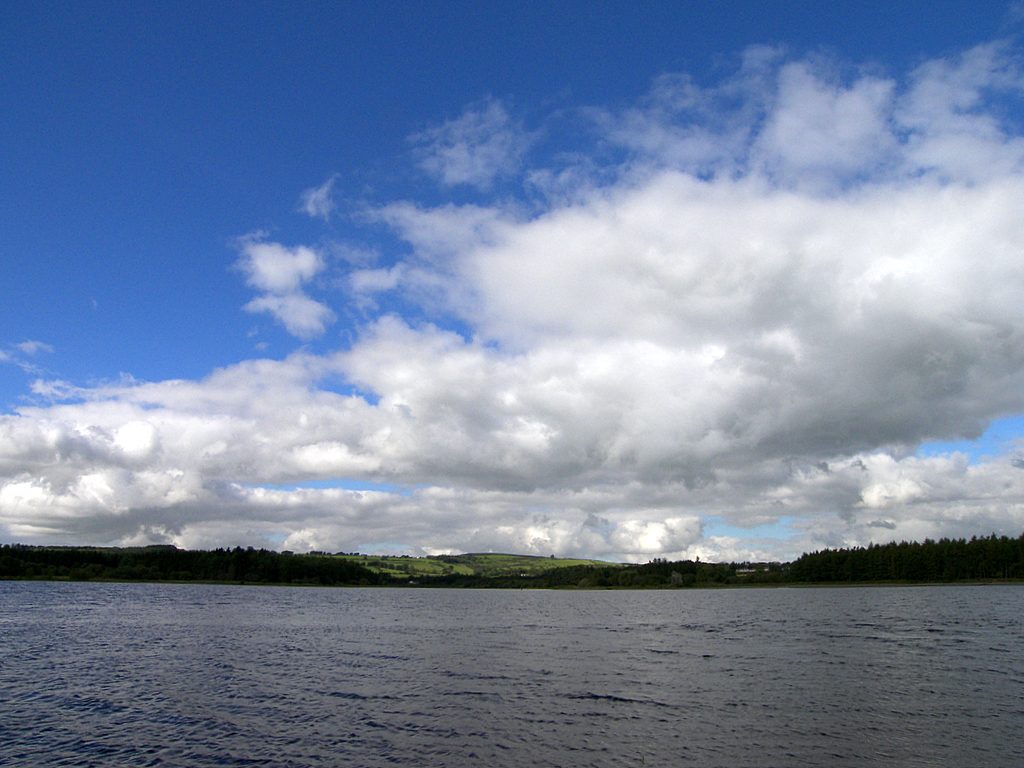 Water and distant shores of Blessington Lake