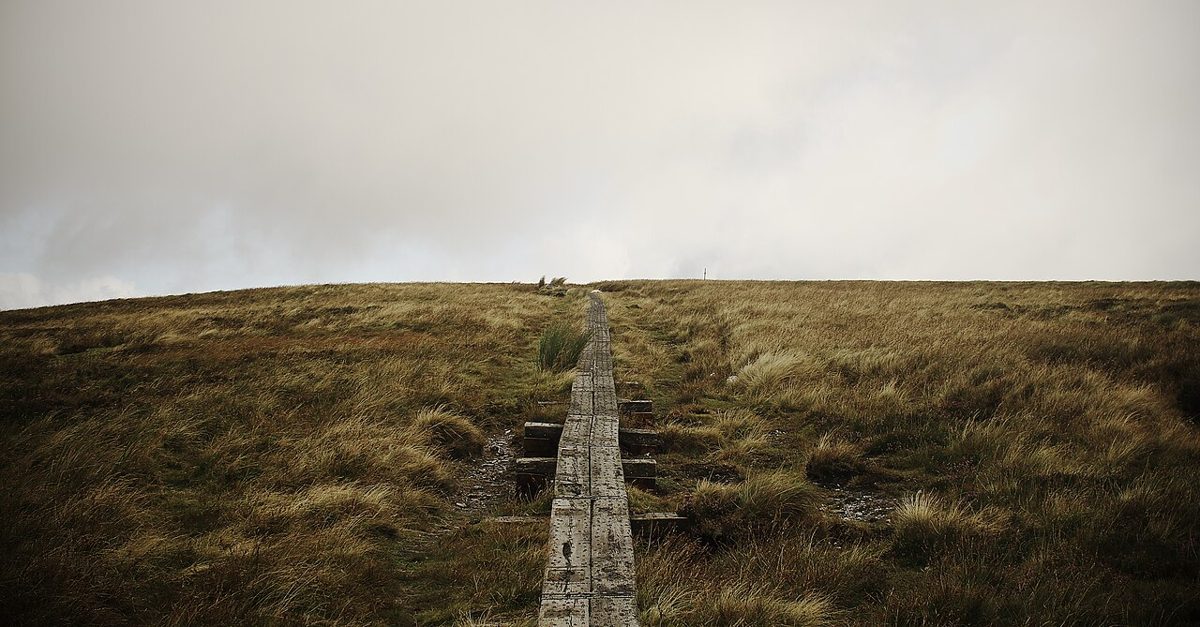 A boardwalk crossing open ground on White Hill