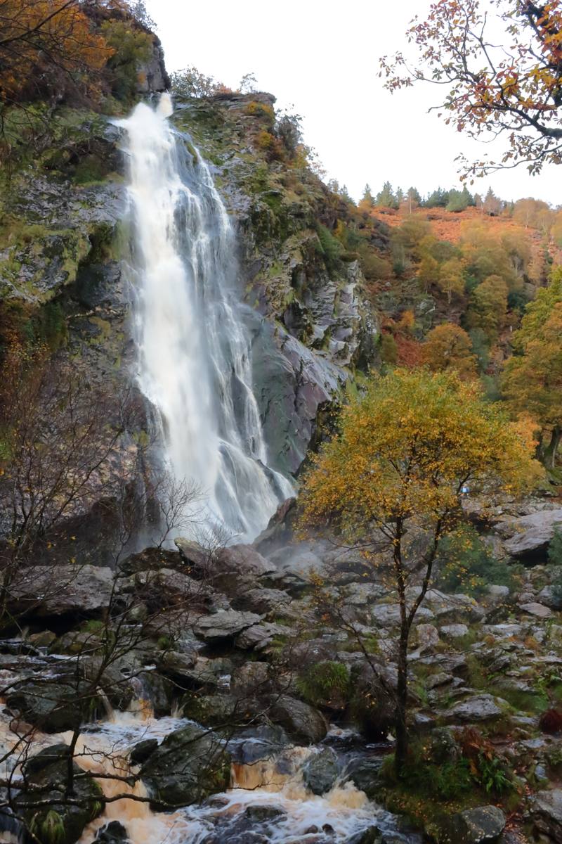 Powerscourt Waterfall framed by autumn foliage
