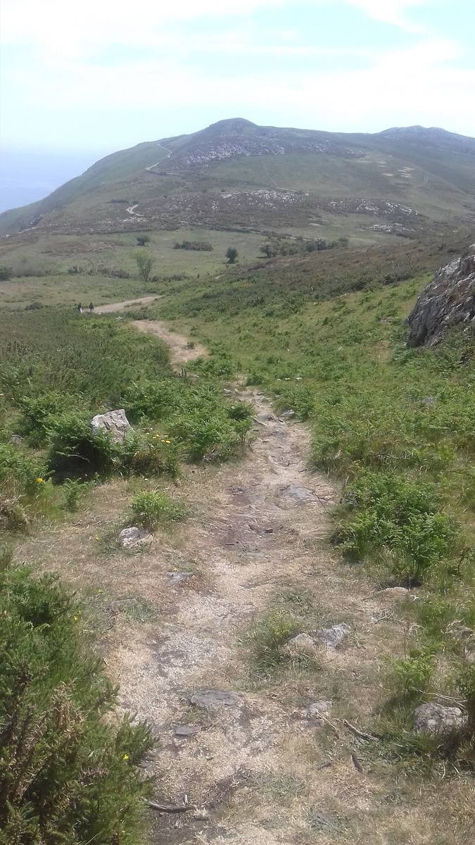 A rough section of the Bray Head loop path