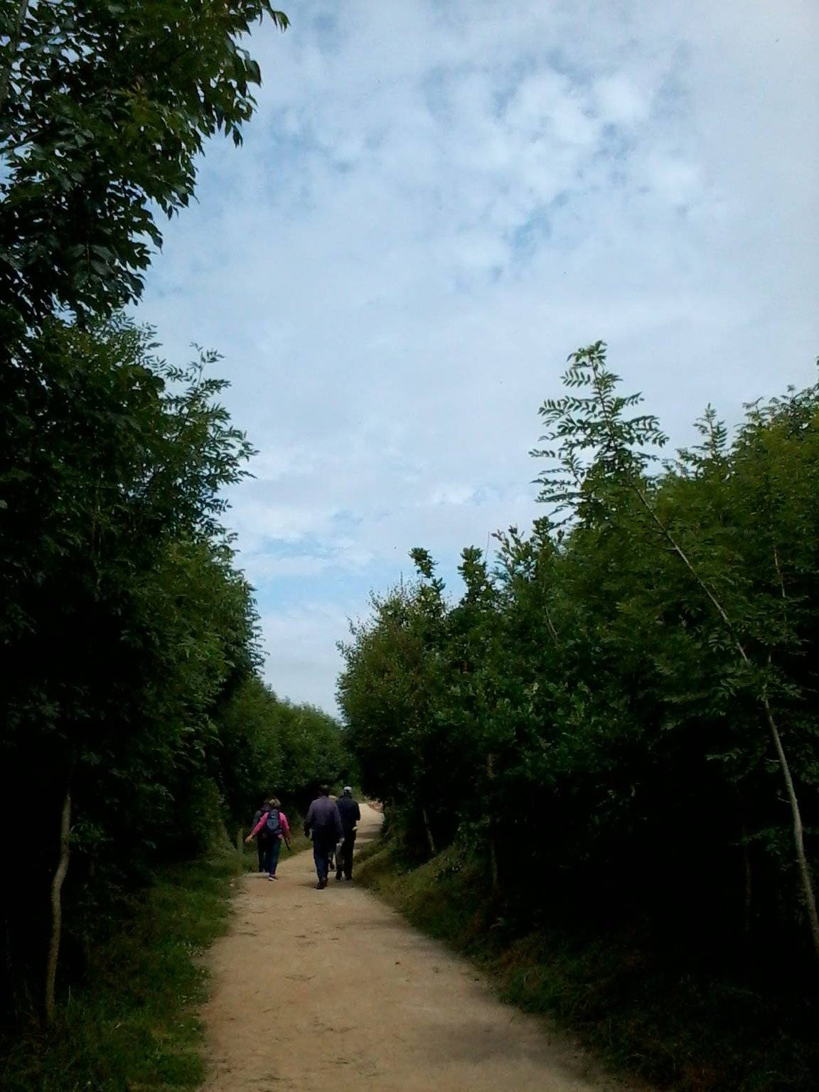 A section of the Anne Valley walk