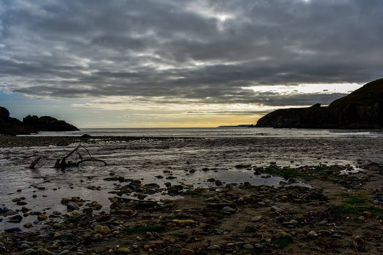 Stradbally Cove shoreline at low tide