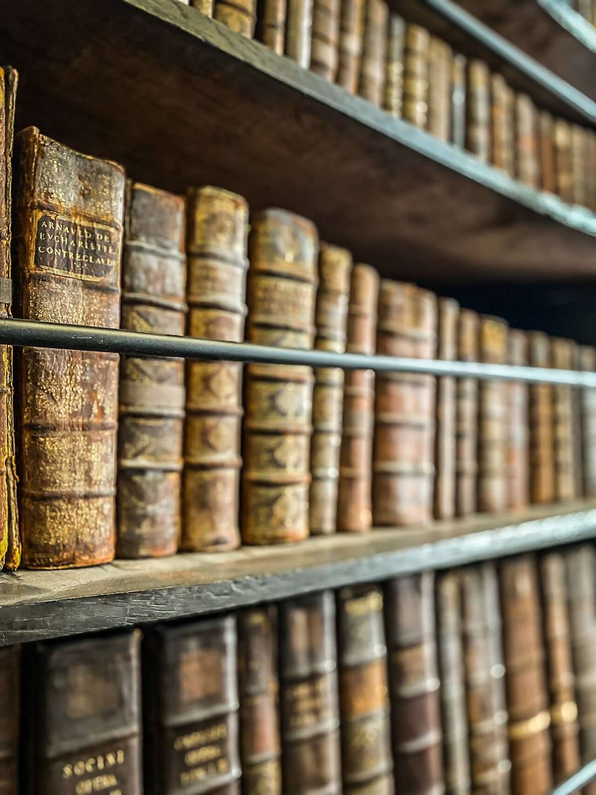 Old leather-bound volumes on the shelves at Marsh’s Library