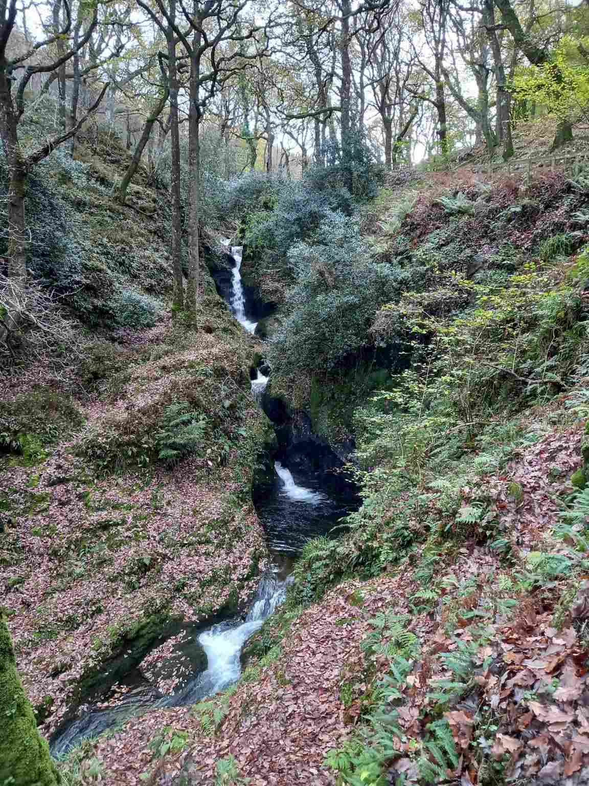 Poulanass Waterfall among woodland at Glendalough