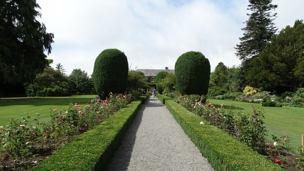 A gravel path leading towards the house through Altamont Gardens
