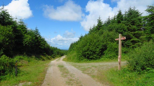 A trail junction in the broader Ballyhoura landscape in County Limerick