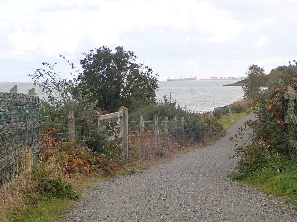 A waterside path on the Carlingford Lough Greenway