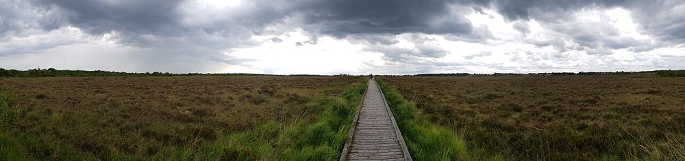 The boardwalk through Clara Bog beneath an open sky