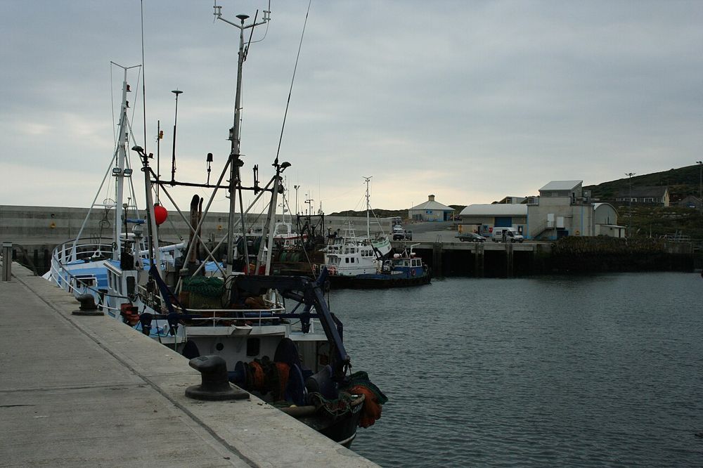 Port Oriel harbour beside Clogherhead
