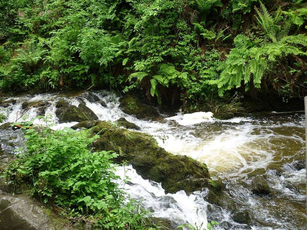 The Cabra River flowing over rocks in Dún a Rí Forest Park