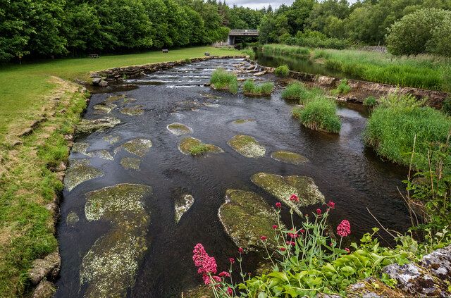 The River Nore at Castletown, near Gash Gardens