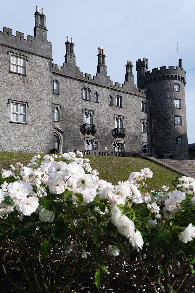 Kilkenny Castle and its surrounding grounds