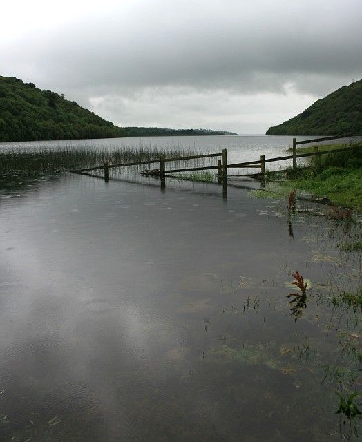 Rain falling over a shore of Lough Derravaragh