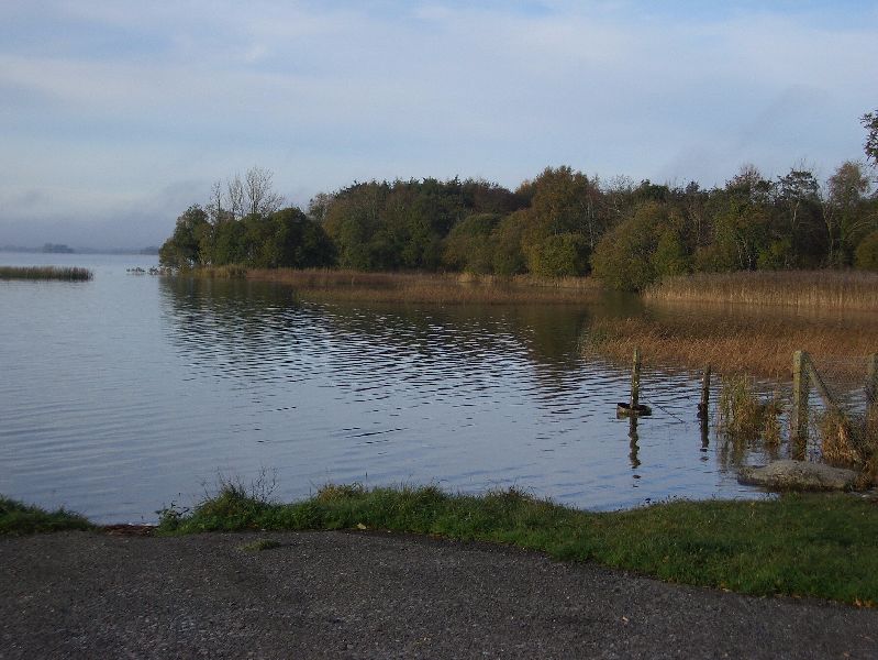 Lough Ennell landscape context