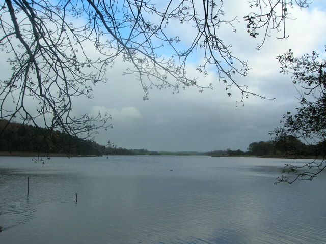 Lough Muckno framed by shoreline trees