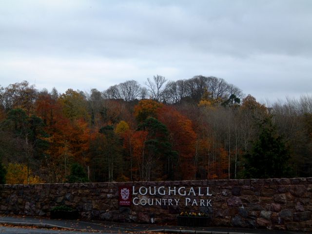 The entrance wall and trees at Loughgall Country Park
