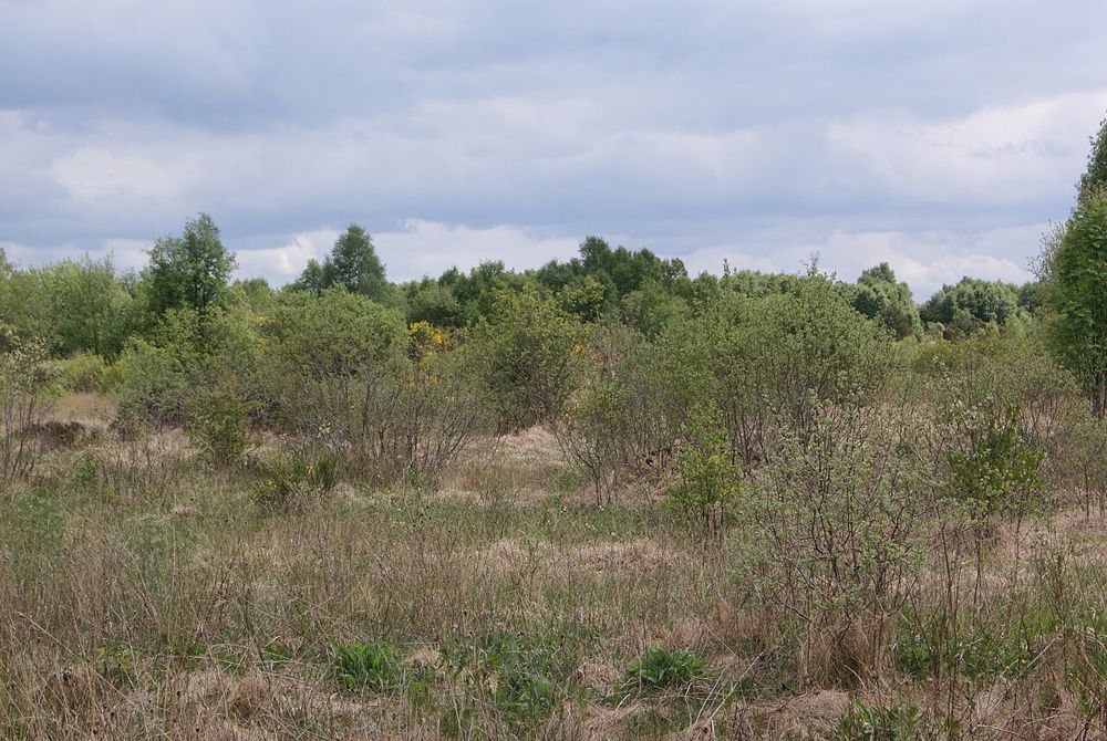 Irish Peatland Conservation Council reserve at Lullymore; nearby landscape context