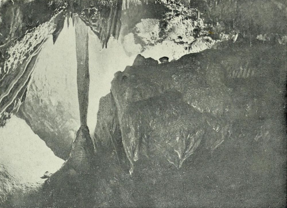 A historic 1905 photograph of a calcite column in Mitchelstown Cave