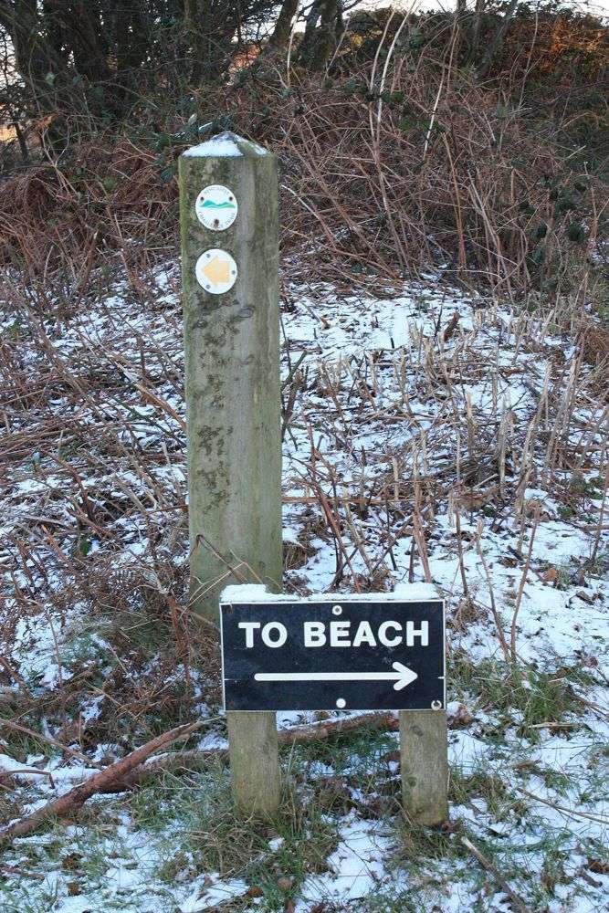 A beach direction sign among the trees at Murlough Nature Reserve