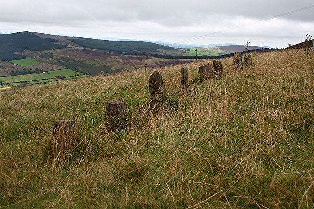 The stone alignment at the Nine Stones on Mount Leinster’s shoulder