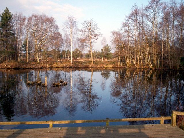 The main pond at Peatlands Park in winter
