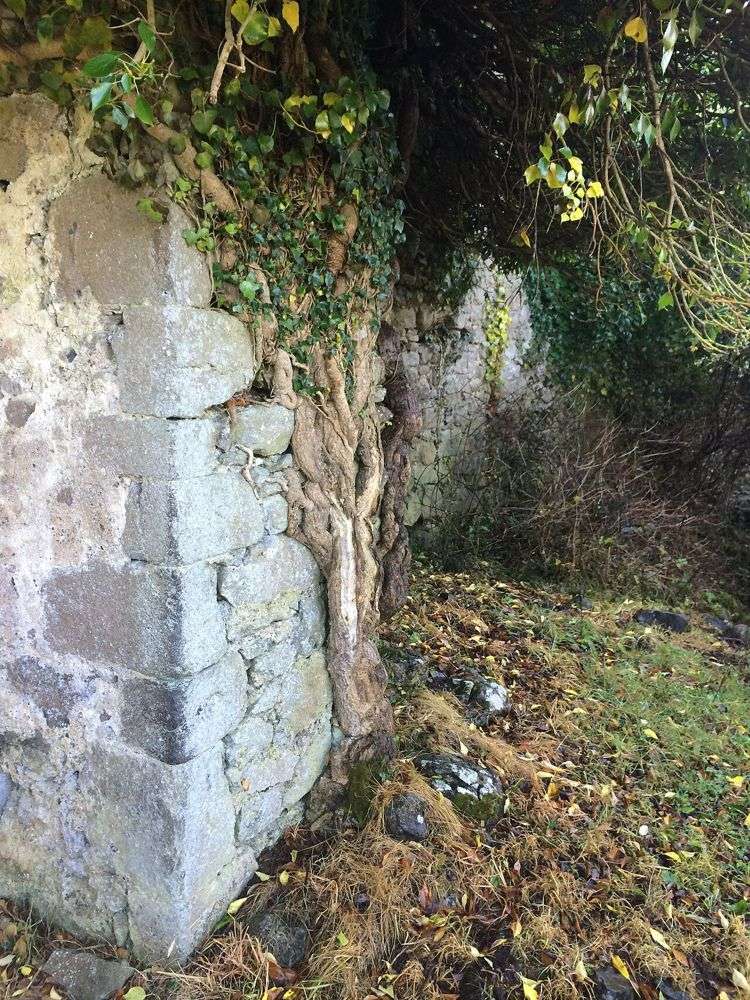 An ivy-covered stone doorway among the medieval ruins at Rindoon