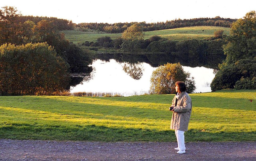 A lakeside lawn and trees in Rossmore Forest Park