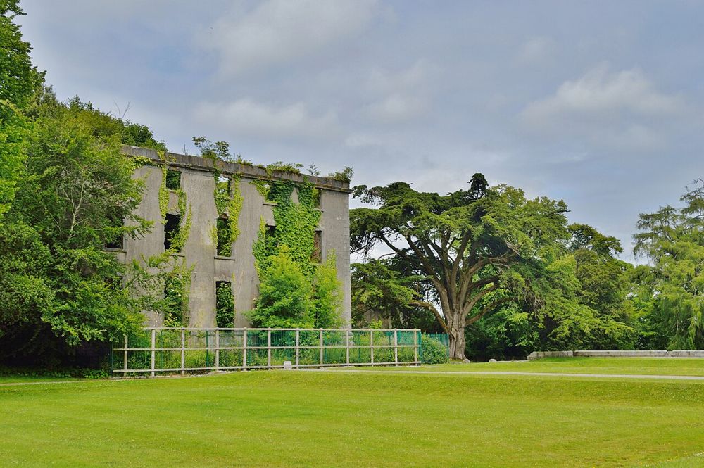 The ruined house amid the grounds of Woodstock at Inistioge