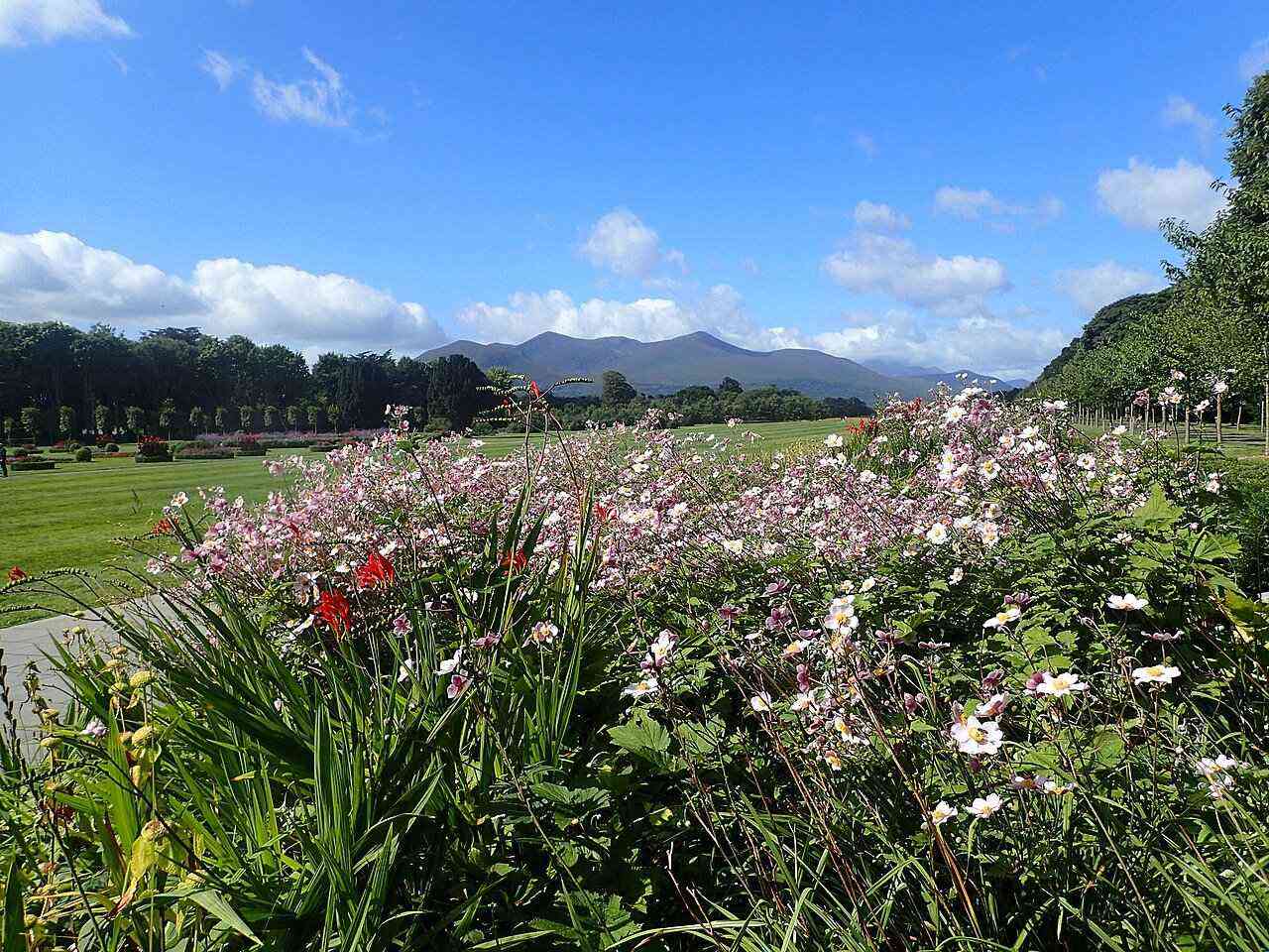 Killarney House and gardens