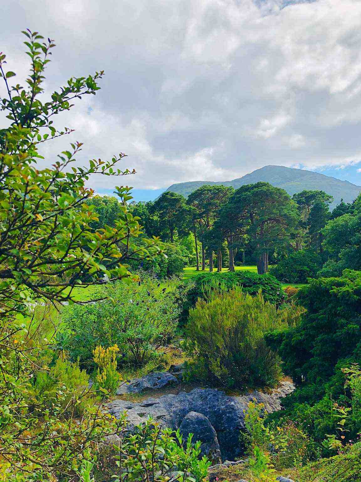 Planted garden and mountain backdrop at Muckross