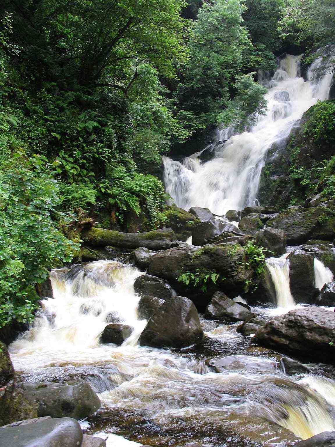 Torc Waterfall among woodland