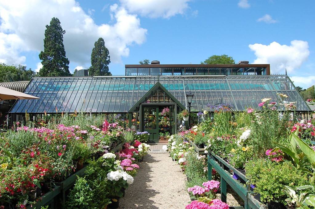 A flower-lined path leading to a glasshouse at Avoca Kilmacanogue
