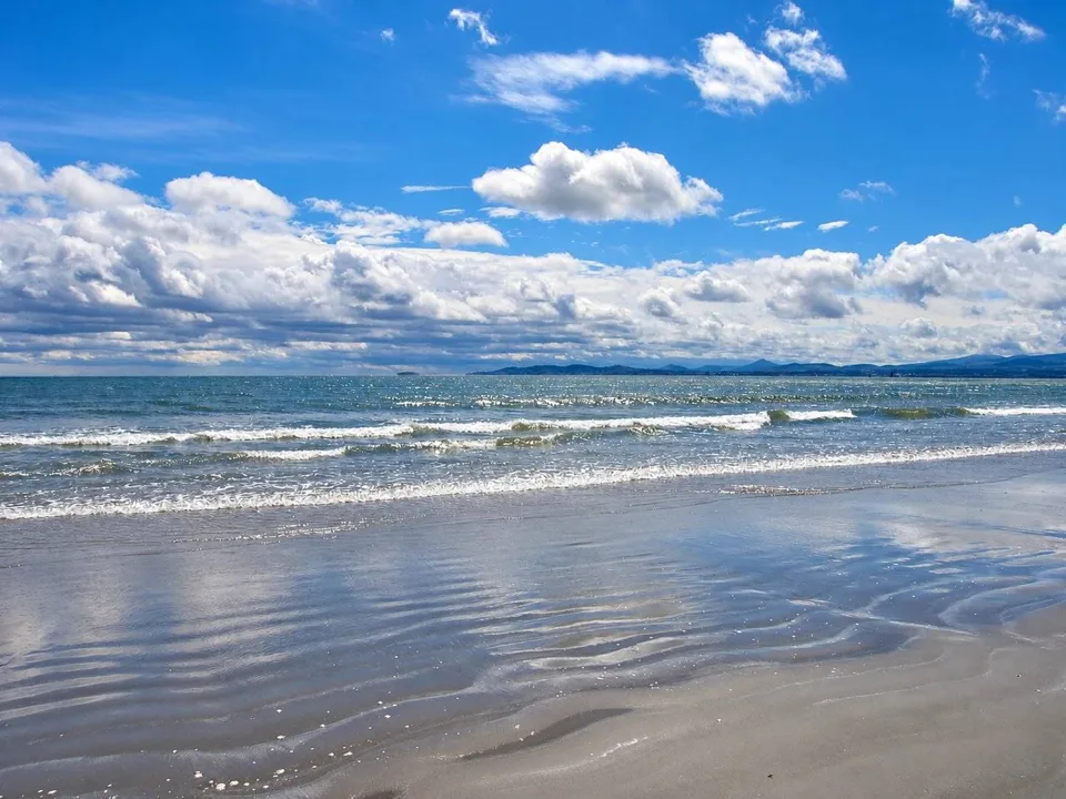 AI illustration of Bull Island & Dollymount Strand based on a credited source photograph